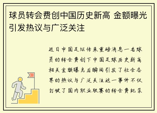 球员转会费创中国历史新高 金额曝光引发热议与广泛关注