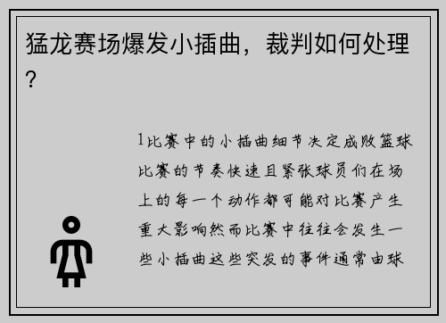 猛龙赛场爆发小插曲，裁判如何处理？